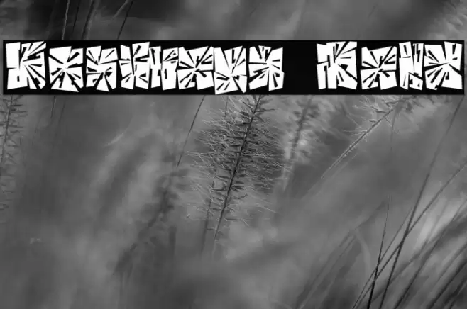 Destroya Bold Font examples