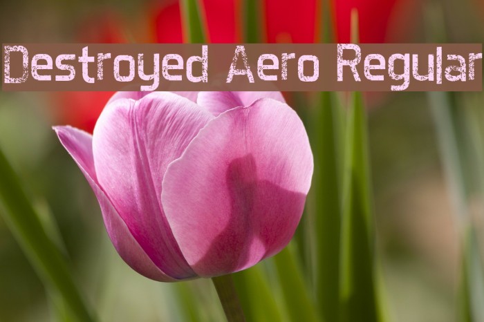 Destroyed Aero Regular Font examples
