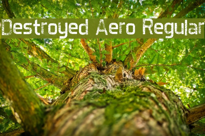 Destroyed Aero Regular Font examples