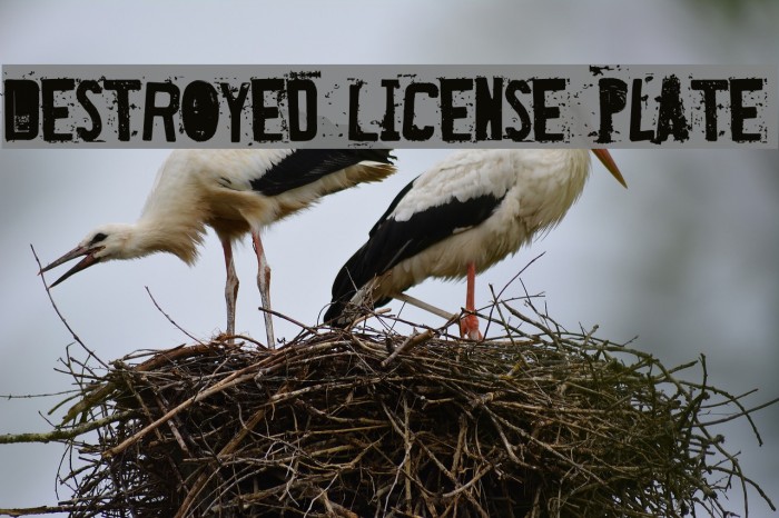 Destroyed License Plate Font examples