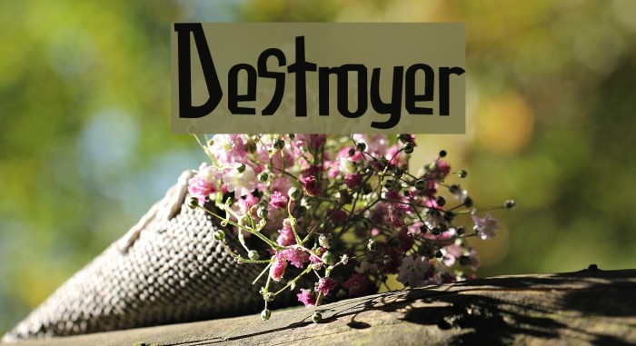 Destroyer Font examples