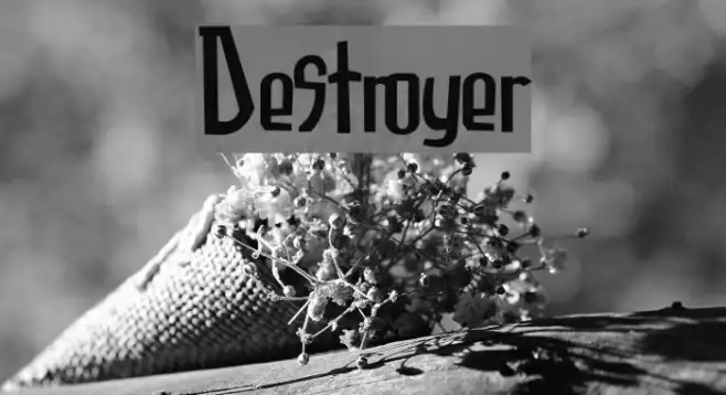 Destroyer Example 1