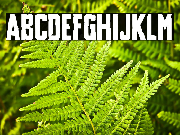 Destruction Manual Example 1