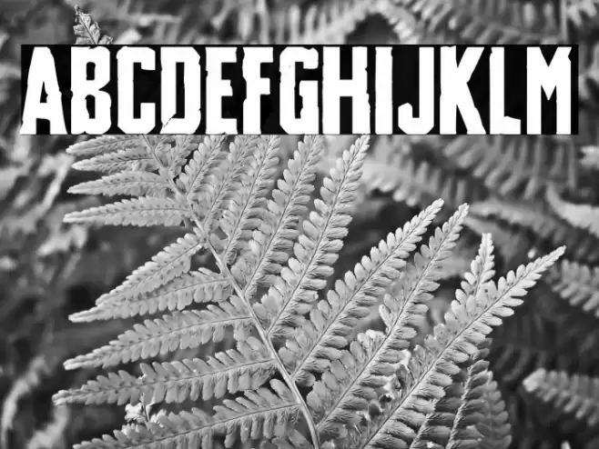 Destruction Manual Font examples