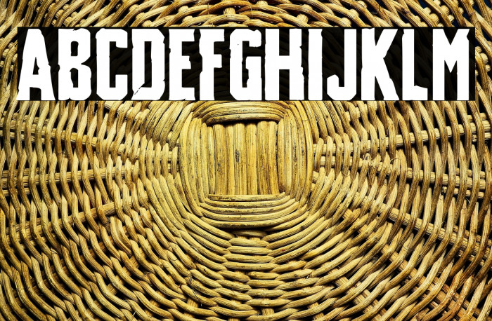 Destruction Manual Example 2