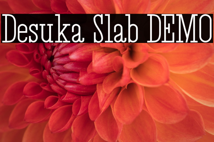 Desuka Slab DEMO Example 2