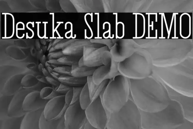 Desuka Slab DEMO Example 2