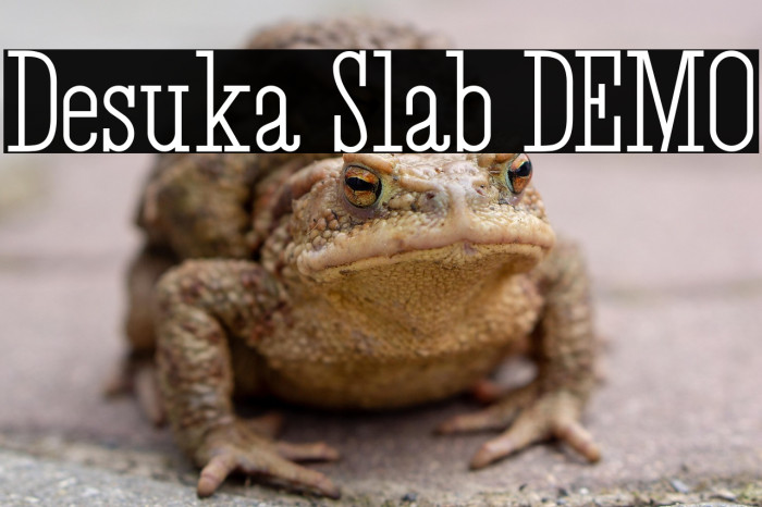 Desuka Slab DEMO Example 3