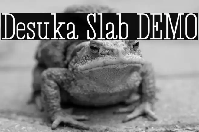 Desuka Slab DEMO Example 3