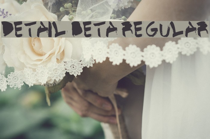 Detail BETA Regular Font examples