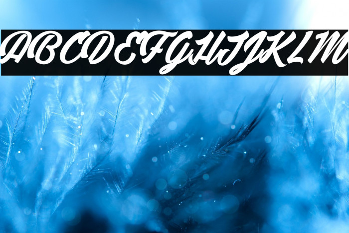 Detective Bildo 2_PersonalUseOnly Example 2