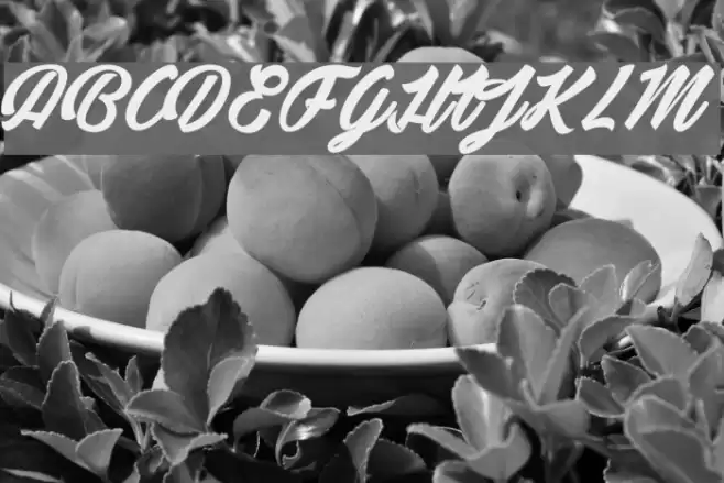 Detective Bildo 2_PersonalUseOnly Font examples