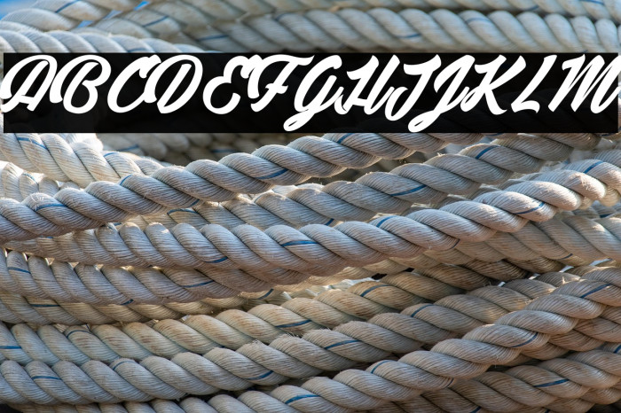 Detective Bildo_PersonalUseOnly Example 1