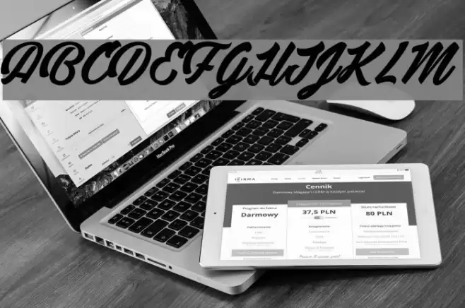 Detective Bildo_PersonalUseOnly Шрифта examples