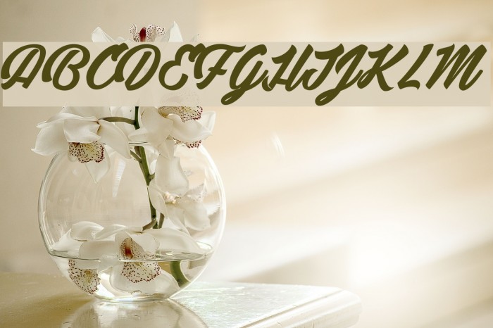 Detective Bildo_PersonalUseOnly Font examples