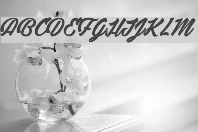 Detective Bildo_PersonalUseOnly Шрифта examples