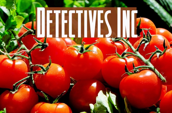 Detectives Inc Font examples