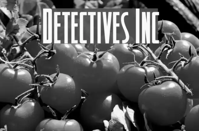 Detectives Inc Font examples