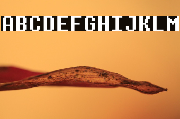 Determination Mono(RUS BY LYAJK Example 1