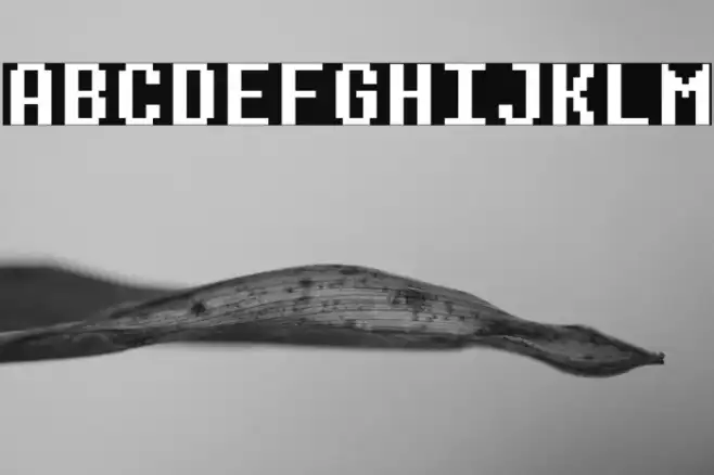 Determination Mono(RUS BY LYAJK Example 1