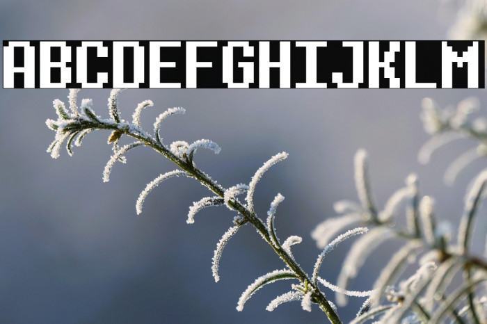 Determination (RUS BY LYAJKA) Example 3