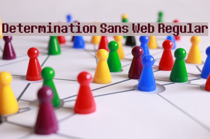 Determination Sans Web Regular フォント examples