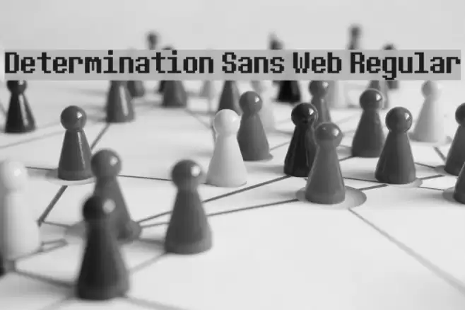 Determination Sans Web Regular フォント examples