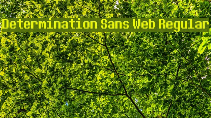 Determination Sans Web Regular フォント examples