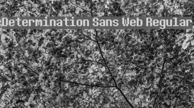 Determination Sans Web Regular フォント examples
