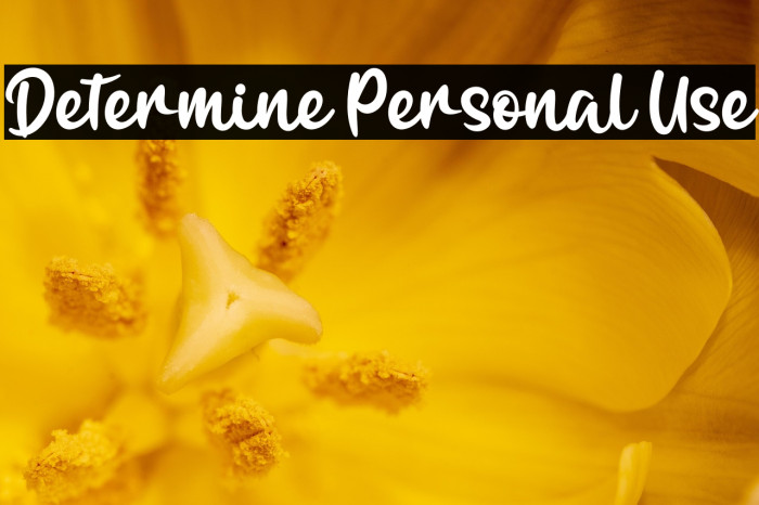 Determine Personal Use Example 2