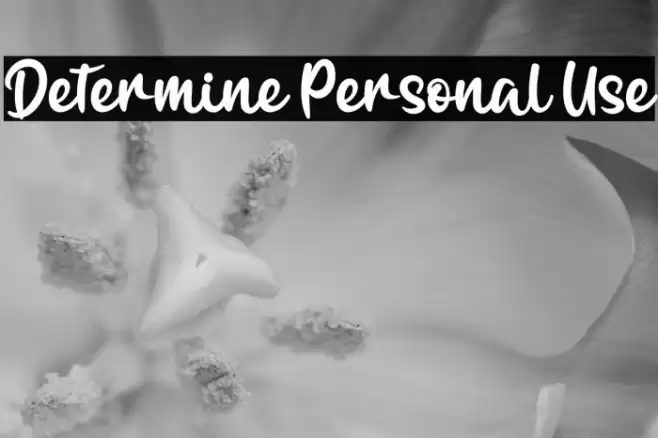 Determine Personal Use Font examples