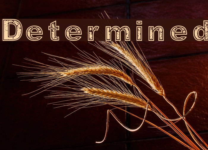 Determined Font examples