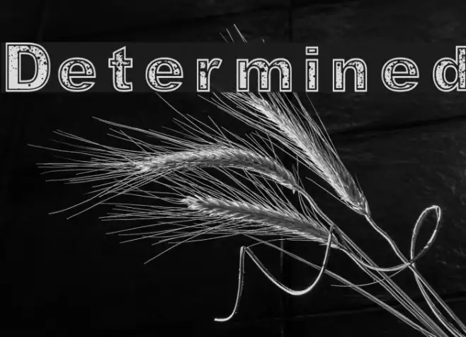 Determined Example 1