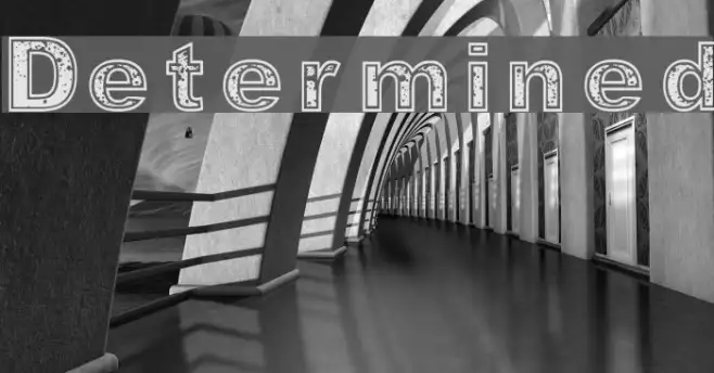 Determined Example 2