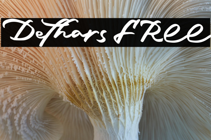 Dethars FREE Example 1