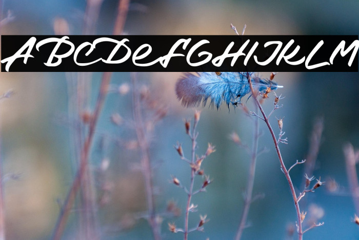 DetharsFREE Example 3