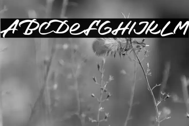 DetharsFREE फ़ॉन्ट examples