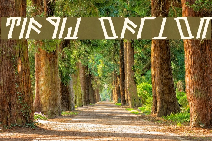 Dethek Italic Font examples