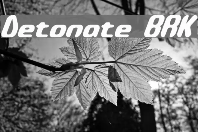 Detonate BRK Fuentes examples
