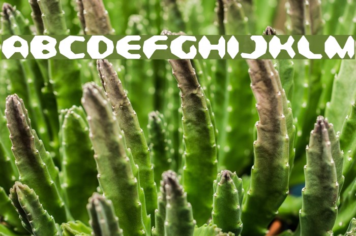 Detonator Condensed Font examples