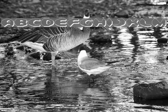 Detonator Shadow Font examples