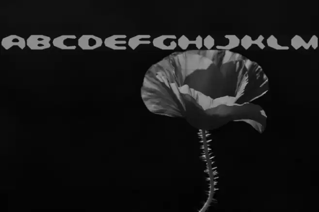 Detonator Font examples