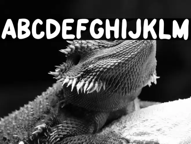 DetourDork Font examples