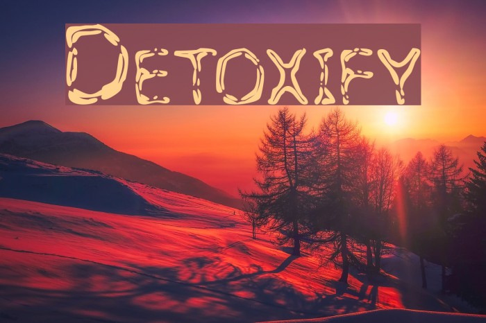 Detoxify Polices examples