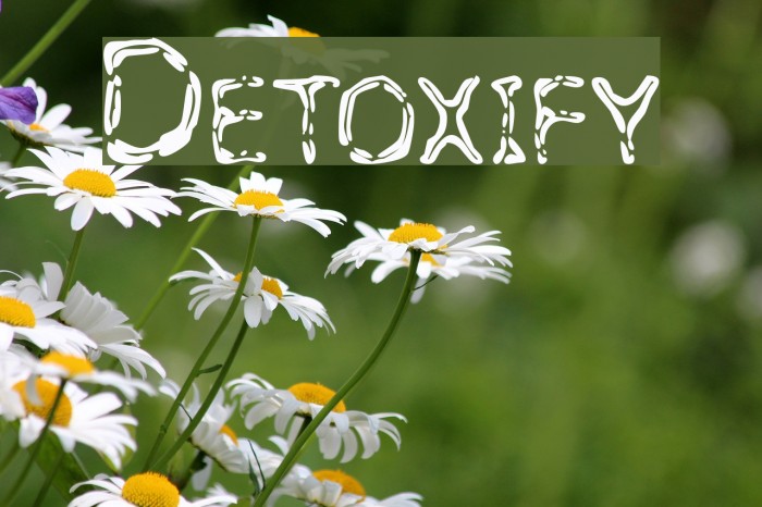 Detoxify Polices examples