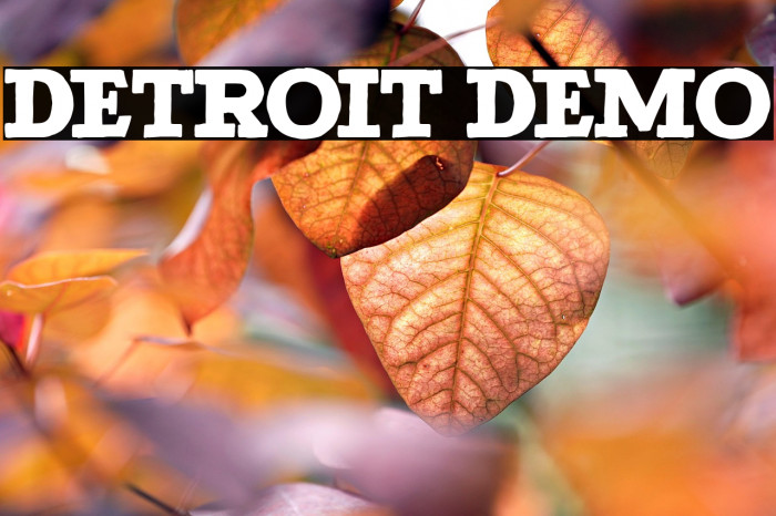 Detroit DEMO Example 1