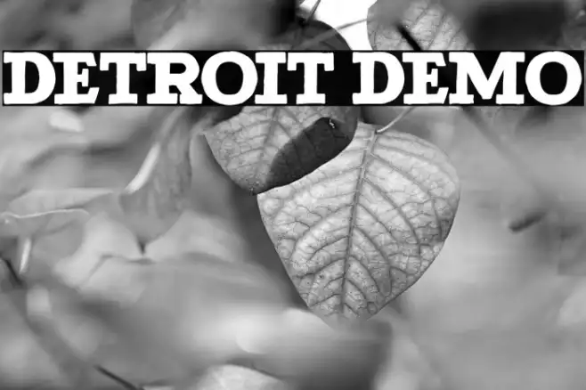 Detroit DEMO Example 1