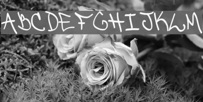 Detroit Ghetto Font examples