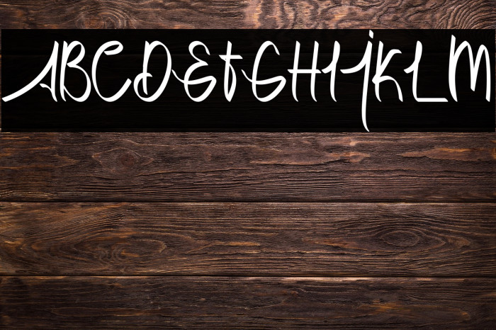 Dettallia Personal Use Only Example 2