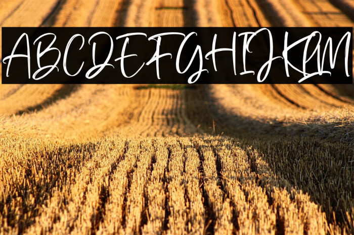 Dettfass Trafalgar Example 2